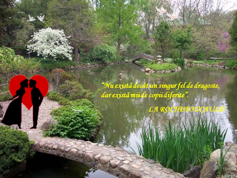 “Nu există decât un singur fel de dragoste, dar există mii de copii diferite”.